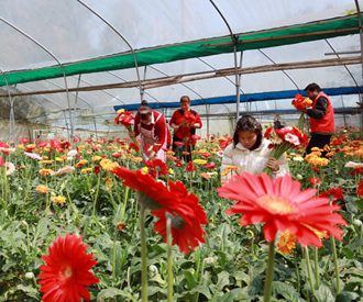 钟山县：让“美丽产业”成“幸福产业”