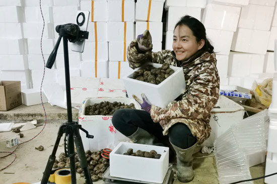 曾雪菊在田间做马蹄销售网络直播 吴洪利摄