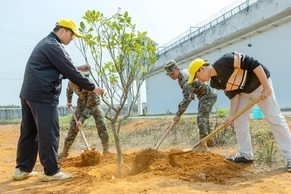 武警官兵与驻地学生一起植树。