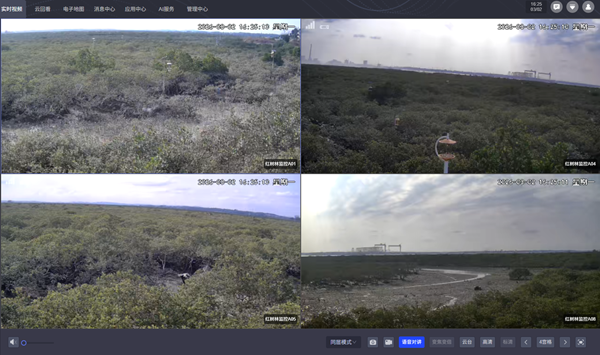 北海电信AI“哨兵”筑牢红树林生态防线(图2)