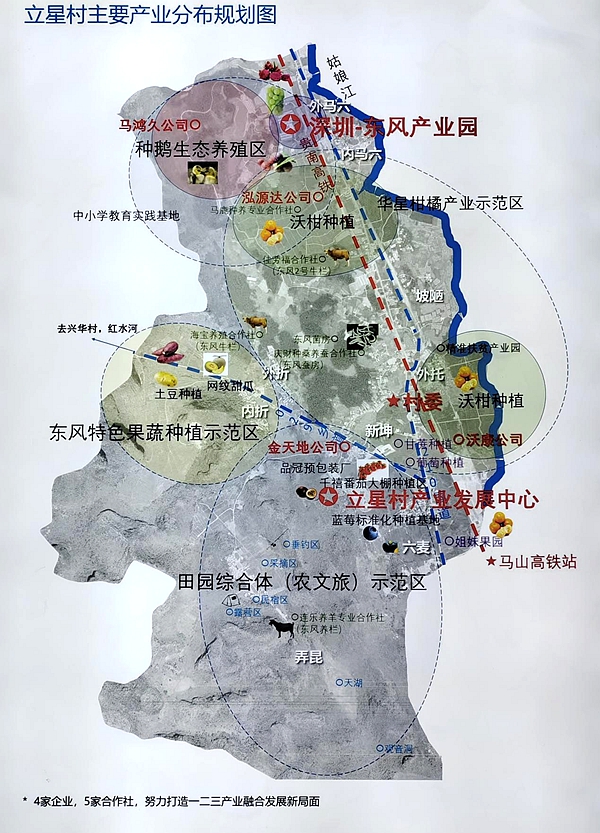 马山县白山镇立星村产业发展规划图