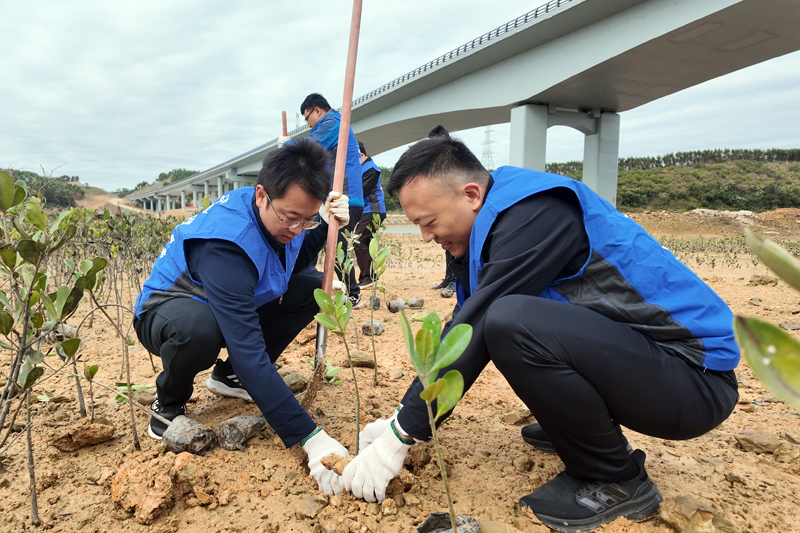 植树活动现场。谷凡摄