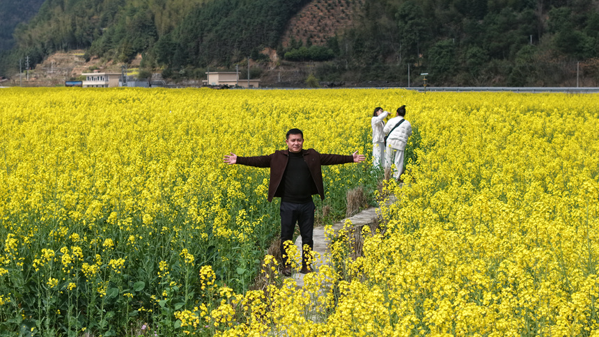 觀賞打卡油菜花海