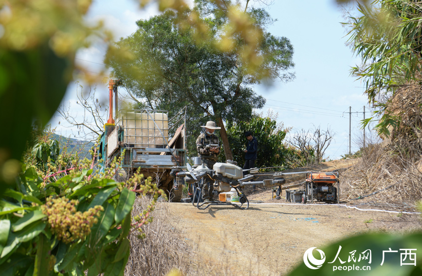 果农使用无人机进行施肥作业。