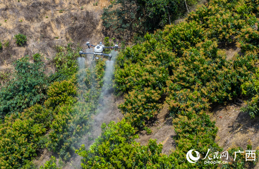 无人机在作业。