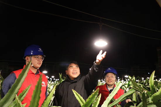 南方电网广西新电力集团玉林供电公司工作人员走进兴业县大平山镇古城村的昌盛火龙果基地,基地人员对工作人员介绍用电情况