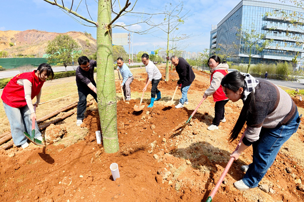 党员干部群众在植树造林。