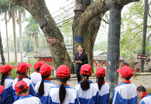 图为百年白玉兰树下，刑庭副庭长江秀秀正在寄语青少年。
