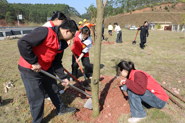 在桂平东收费站开展植树活动。李玉华摄