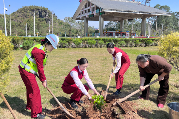 在塘岸收费站开展植树活动。颜春摄