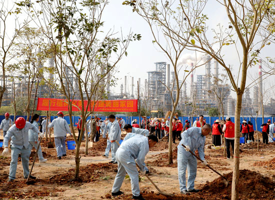 义务植树活动现场。吴美静摄