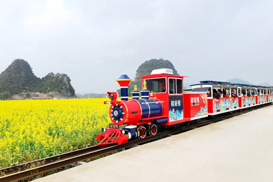 泉江村引進”桂冠號“小火車（（葵陽鎮人民政府供圖）