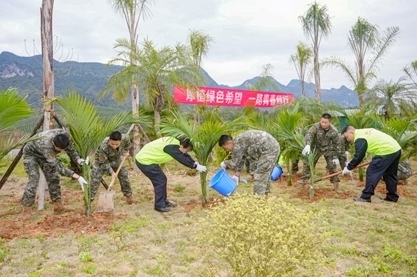 義務植樹現場。賴治華攝