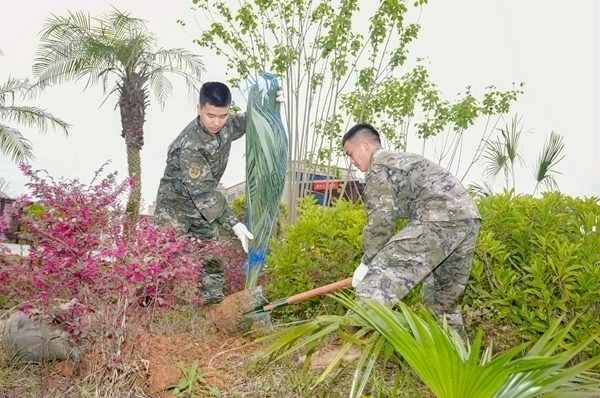官兵協力植樹。賴治華攝