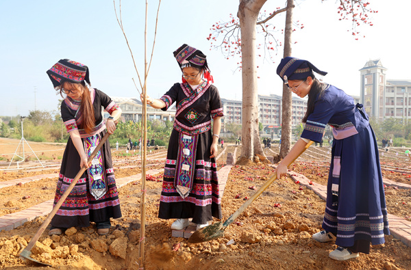 各族师生参与植树活动。莫军摄