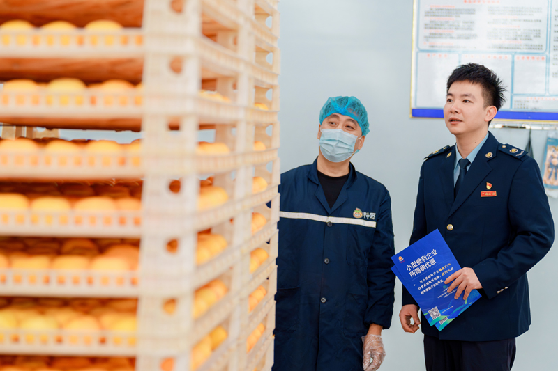 桂林市平樂縣稅務局前往廣西柿界食品科技有限公司開展合規經營輔導,助力企業提升智能化水平,專注工藝創新與品質打磨。任斯林攝
