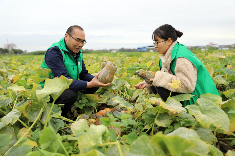 農藝師在查看果品。田東縣融媒體中心供圖