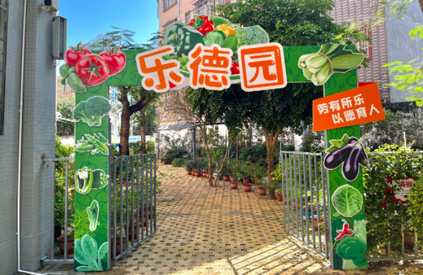 北海市海城區高德小學的“樂德園”種植園地
