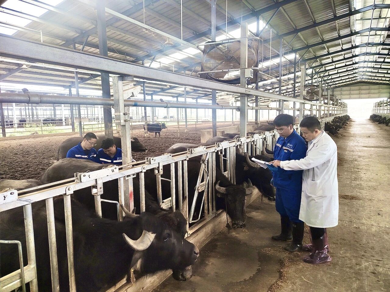 刘庆友教授在牧场指导技术团队开展研究工作