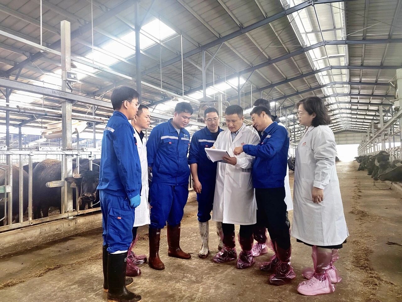 刘庆友教授在牧场指导技术团队开展研究工作