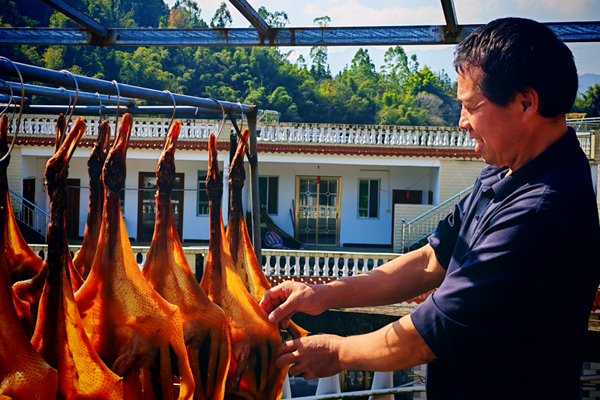 八步区：温泉赋能兴产业文旅融合促振兴(图2)