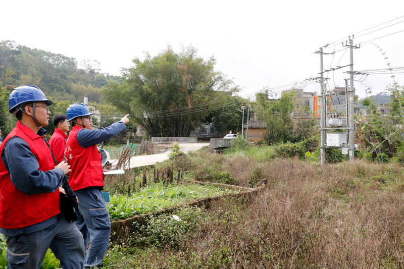 志愿服务队开展“安全植树”宣传。陆川供电局供图