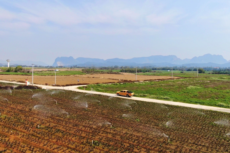 柳州柳城供電局到社沖鄉護航春耕生產。馬聰攝