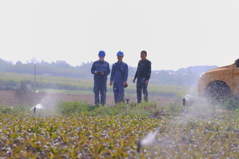 柳州柳城供電局工作人員查看農戶用電抽水噴淋情況。蒙玉彬攝