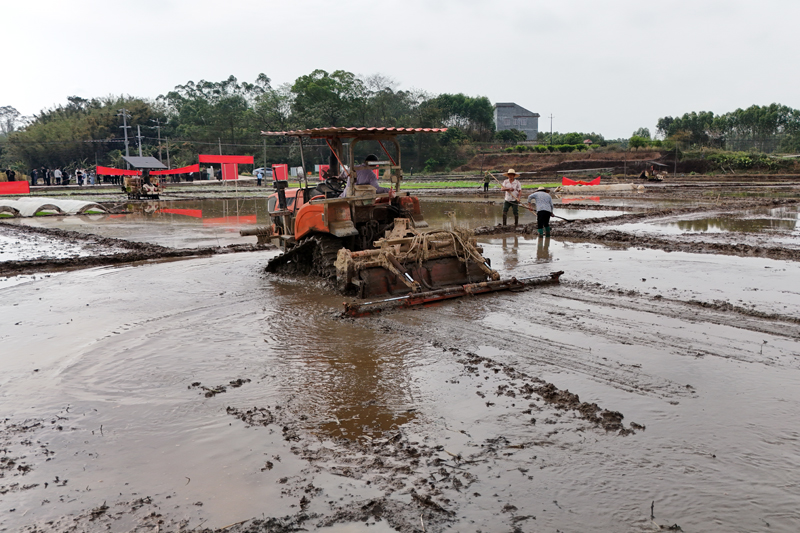 春耕生产现场。