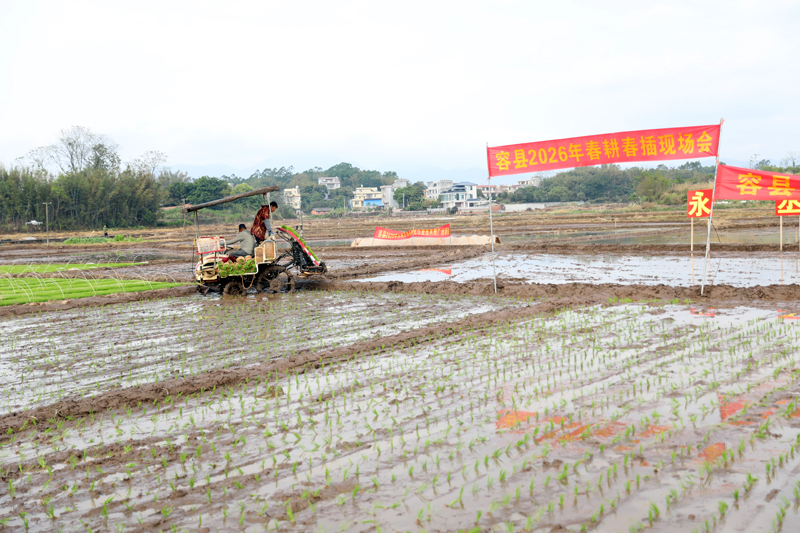 春耕生产现场。
