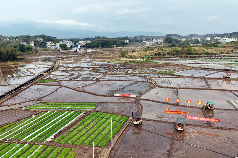 春耕生产现场。