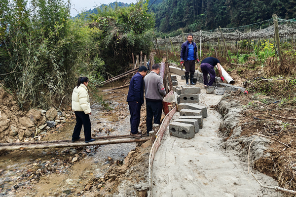 大寧鎮忠福村修復垮塌河堤水渠。岑祚麗攝