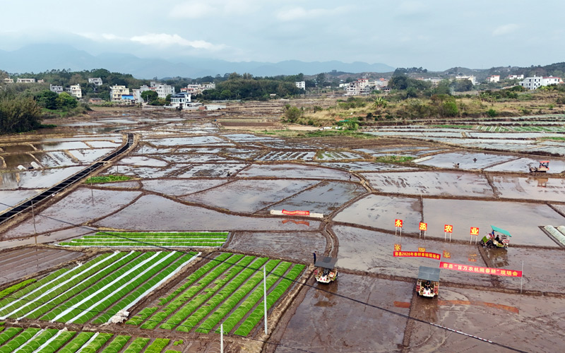科技赋能春耕 容县绘就侨乡“耕”新图景