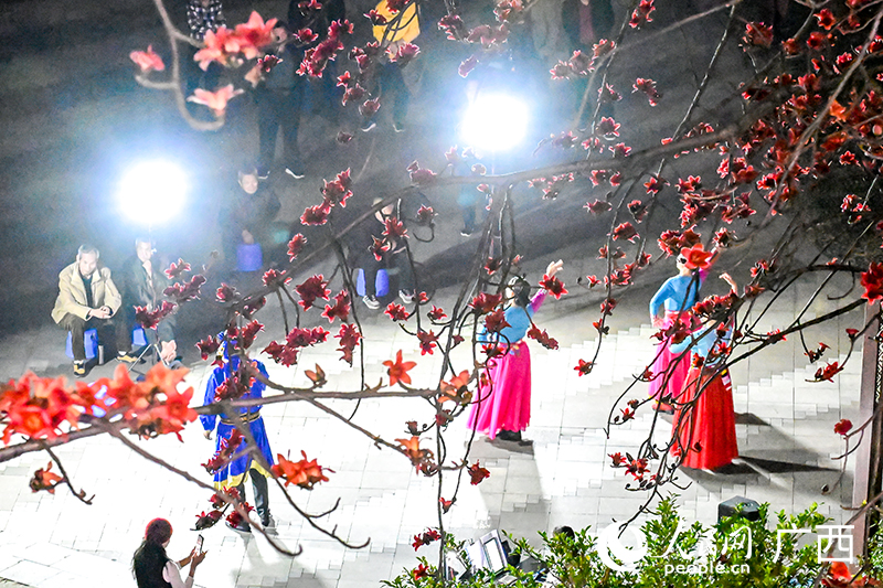 市民在红木棉树下载歌载舞。人民网记者 雷琦竣摄