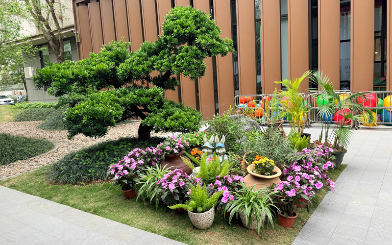 南宁市西乡塘区衡阳西路第三幼儿园新园户外环境。何薇摄