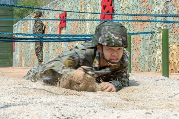 武警官兵在開展戰術基礎訓練。