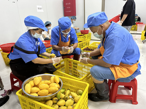 圖為都得有限公司員工在生產車間工作。冼彥辰攝