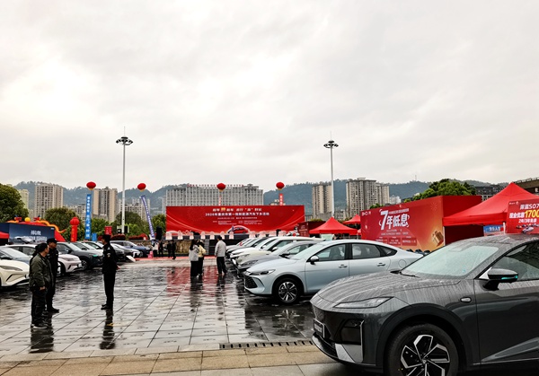 2026年重庆市第一批新能源汽车下乡活动（南川区）活动现场