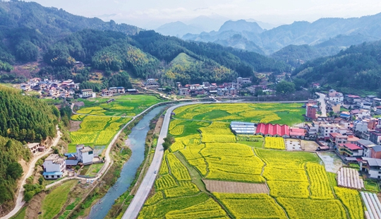 一紙“金色請柬” 三筆“沃野新賬”