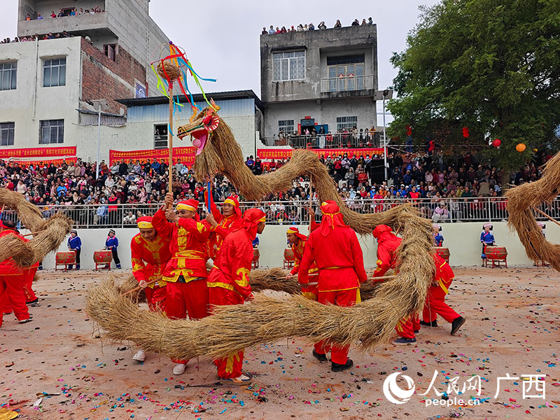 舞龙队员舞动草龙，展示舞龙的经典姿势。人民网记者 沈泉池摄