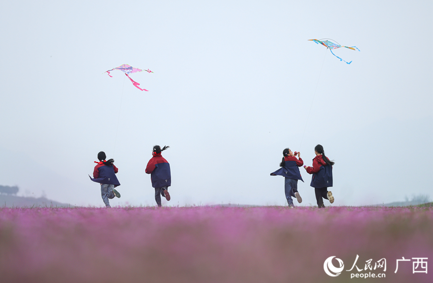 孩子们在紫云英花海放纸鸢。