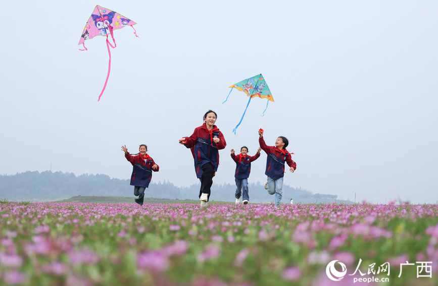 孩子们在紫云英花海放纸鸢。