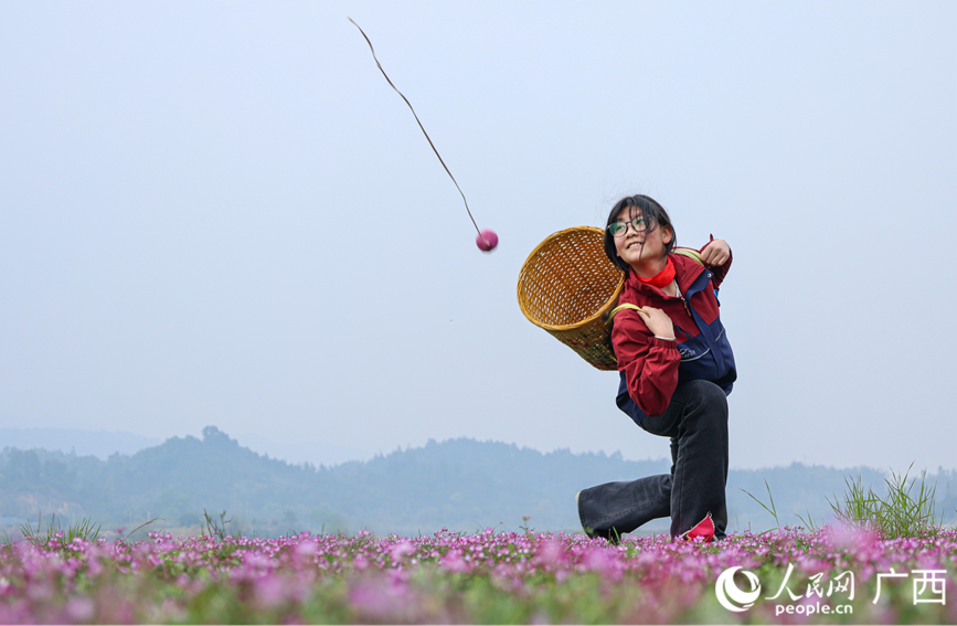 孩子们在紫云英花海抛绣球。