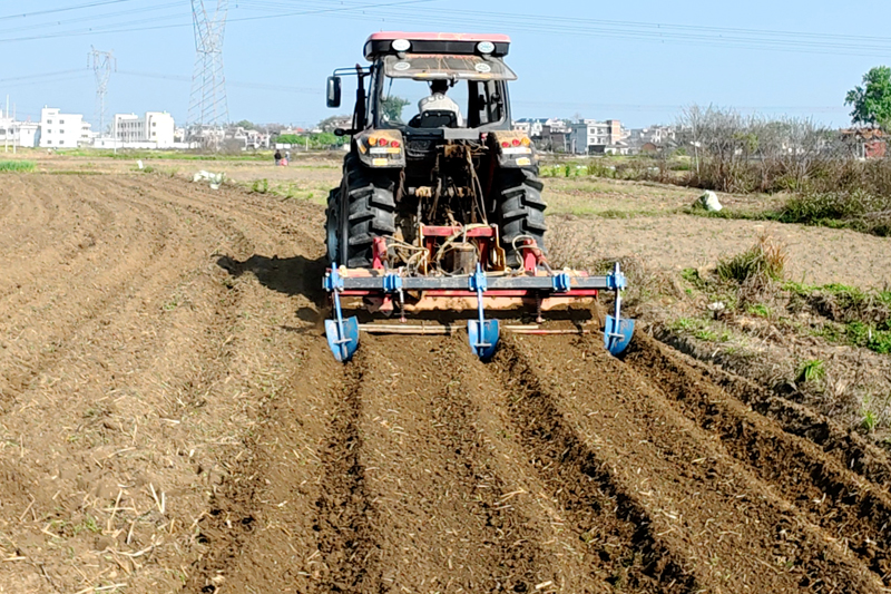 农机手驾驶大型拖拉机在高效作业。