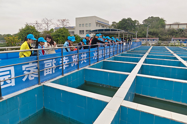 学生代表和家长参观三津水厂生产区域。韩沛摄