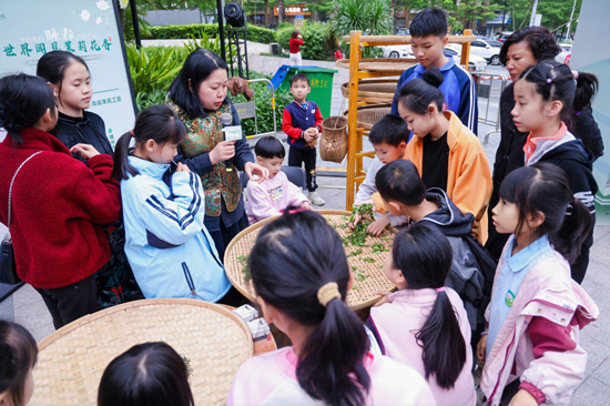 “小小非遗传承人”研学课堂。横州市融媒体中心供图