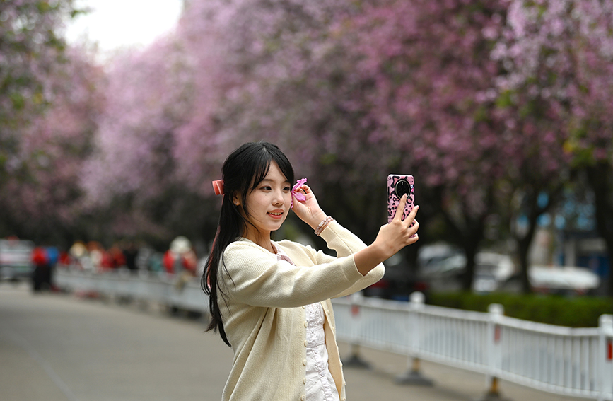 柳州市民与花同框。黄蕊摄