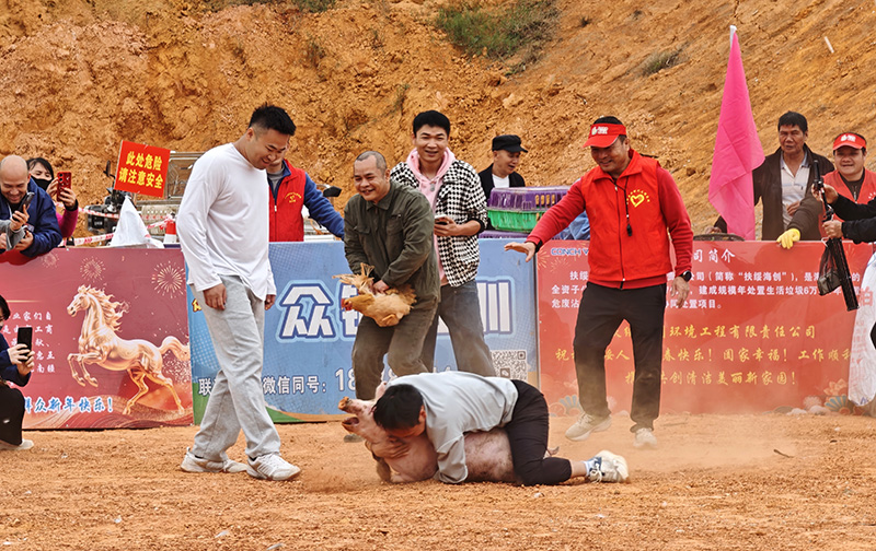 “抓龙猪”趣味竞技现场,选手扑倒抓住福猪,引得围观群众阵阵欢笑。韦子明摄