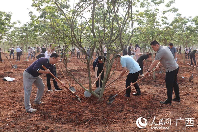植树现场。人民网 刘璐瑶摄
