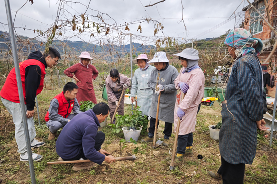 图为驻村工作队组织村民进行种植培训